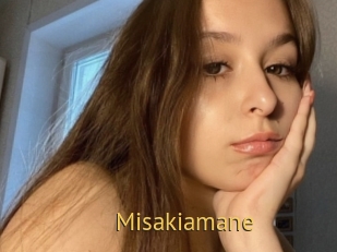Misakiamane