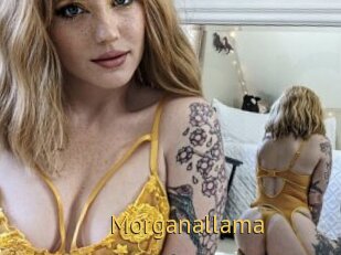 Morganallama