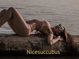 Nicesuccubus