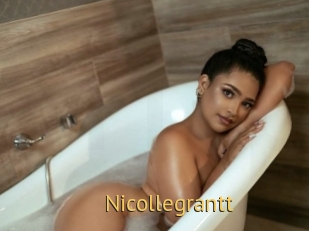 nicollegrantt Smilin Pussy