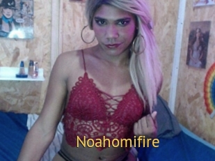 Noahomifire