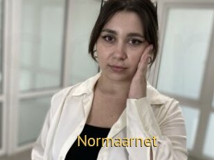 Normaarnet