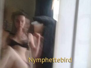 Nymphettebird