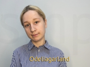 Odeliagarland