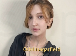Odelinagarfield