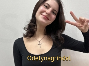 Odelynagrindel