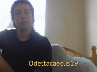 Odettacaecus19