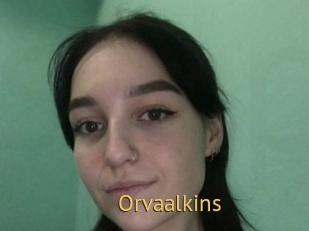 Orvaalkins