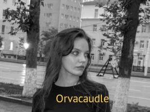 Orvacaudle