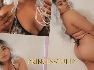 PRINCESSTULIP