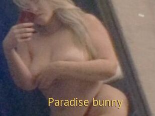 Paradise_bunny