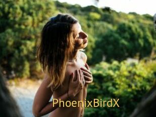 PhoenixBirdX