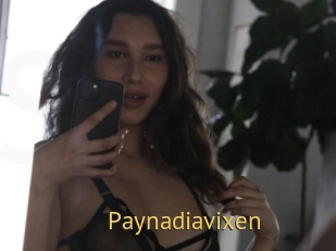 Paynadiavixen