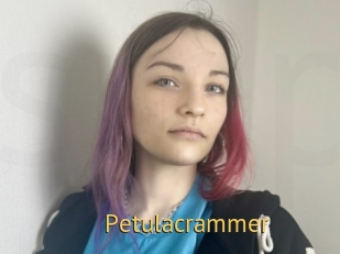 Petulacrammer