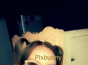 Pixbunny