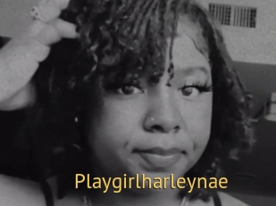 Playgirlharleynae