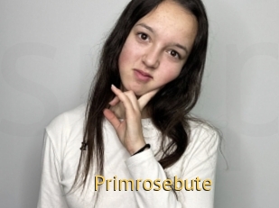 Primrosebute
