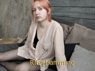 RileyHamming