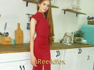Reeddfox
