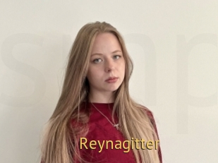 Reynagitter