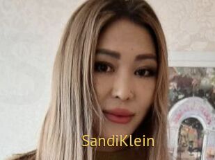 SandiKlein