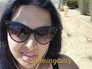 Shinningdaisy