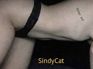 SindyCat
