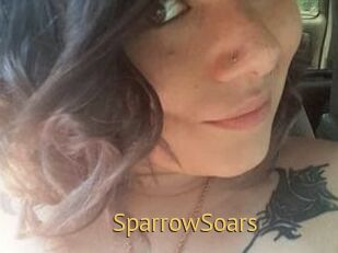 SparrowSoars