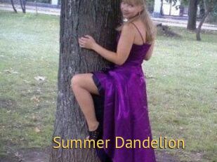 Summer_Dandelion