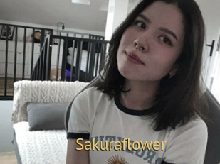 Sakuraflower