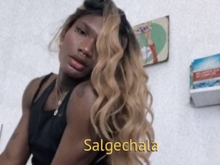salgechala Smilin Pussy