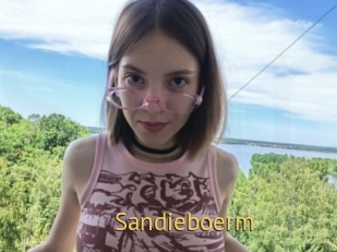 Sandieboerm