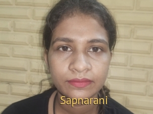 sapnarani Smilin Pussy