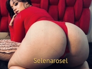 Selenarosel