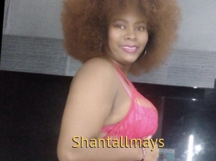 shantallmays Smilin Pussy