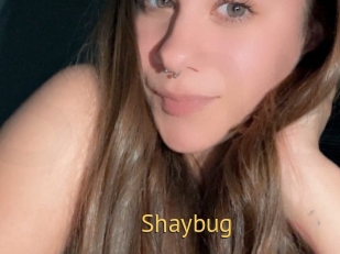 Shaybug