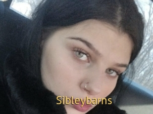 sibleybarns Smilin Pussy