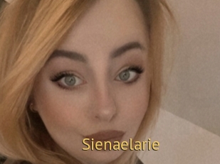 Sienaelarie