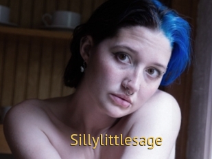 Sillylittlesage