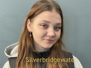 Silverbridgewate