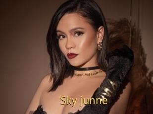Sky_junne