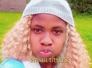 Small_tits018