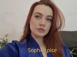 sophiaspice Smilin Pussy