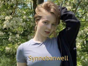 Synnebanwell