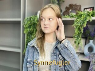 Synnefugler