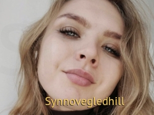 Synnovegledhill