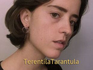 TerentilaTarantula