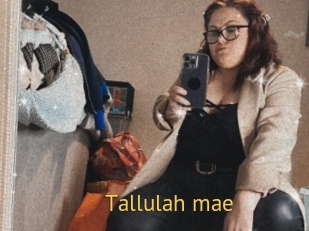 Tallulah_mae