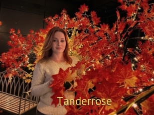 Tanderrose
