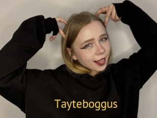 Tayteboggus